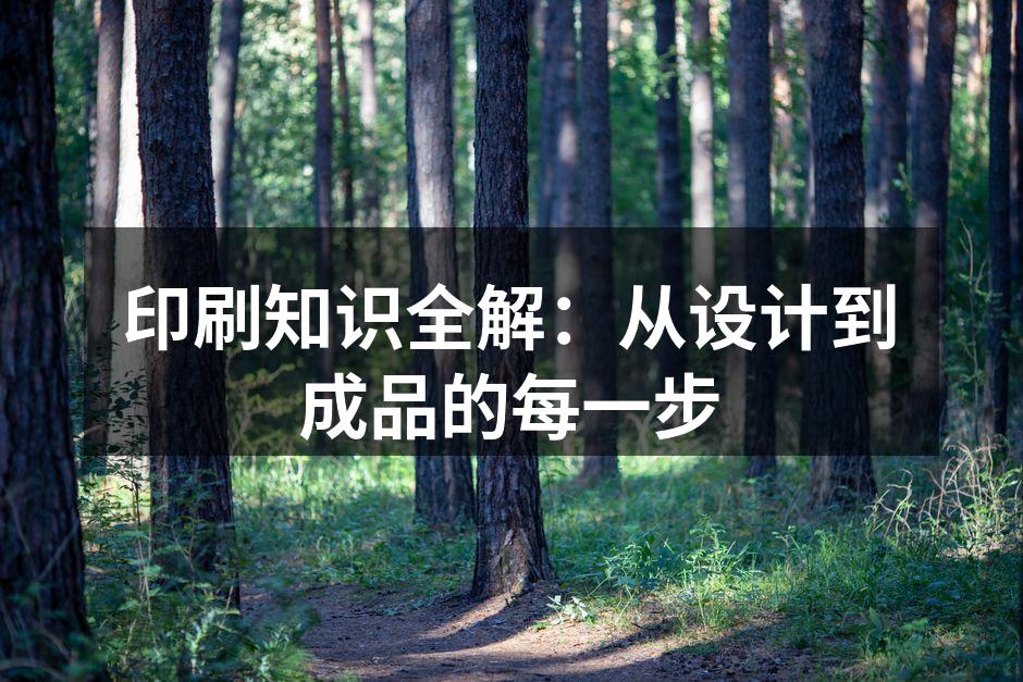 印刷流程展示