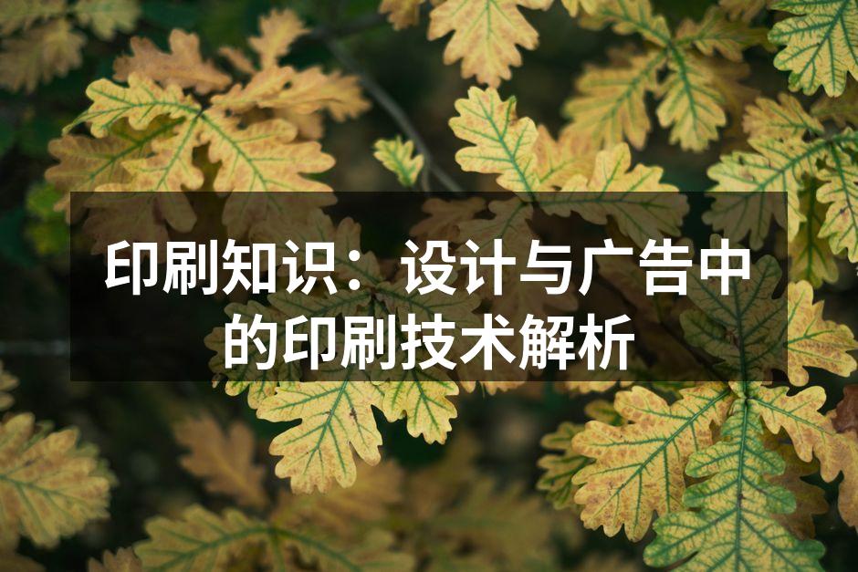 现代印刷技术的展示