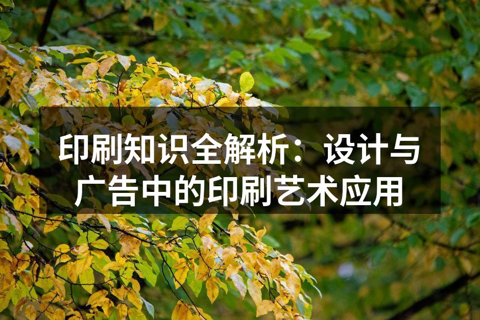 印刷工艺展示