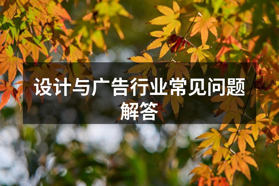 创意设计风格示例