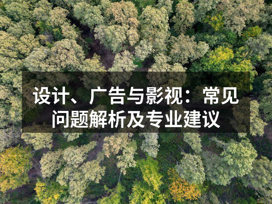 设计师在研讨会上讨论创意